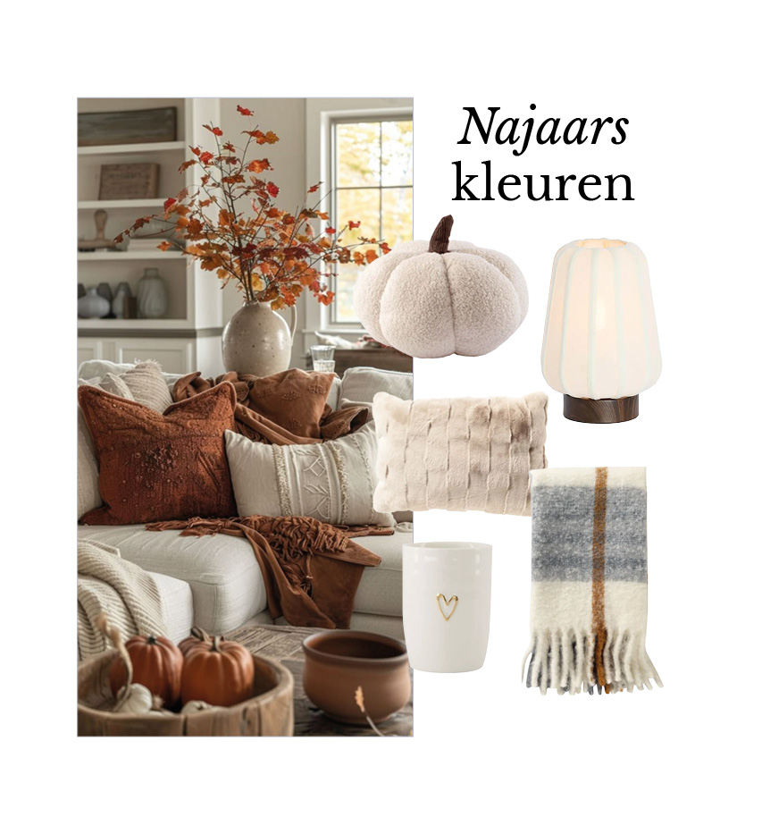 Shop the Look
